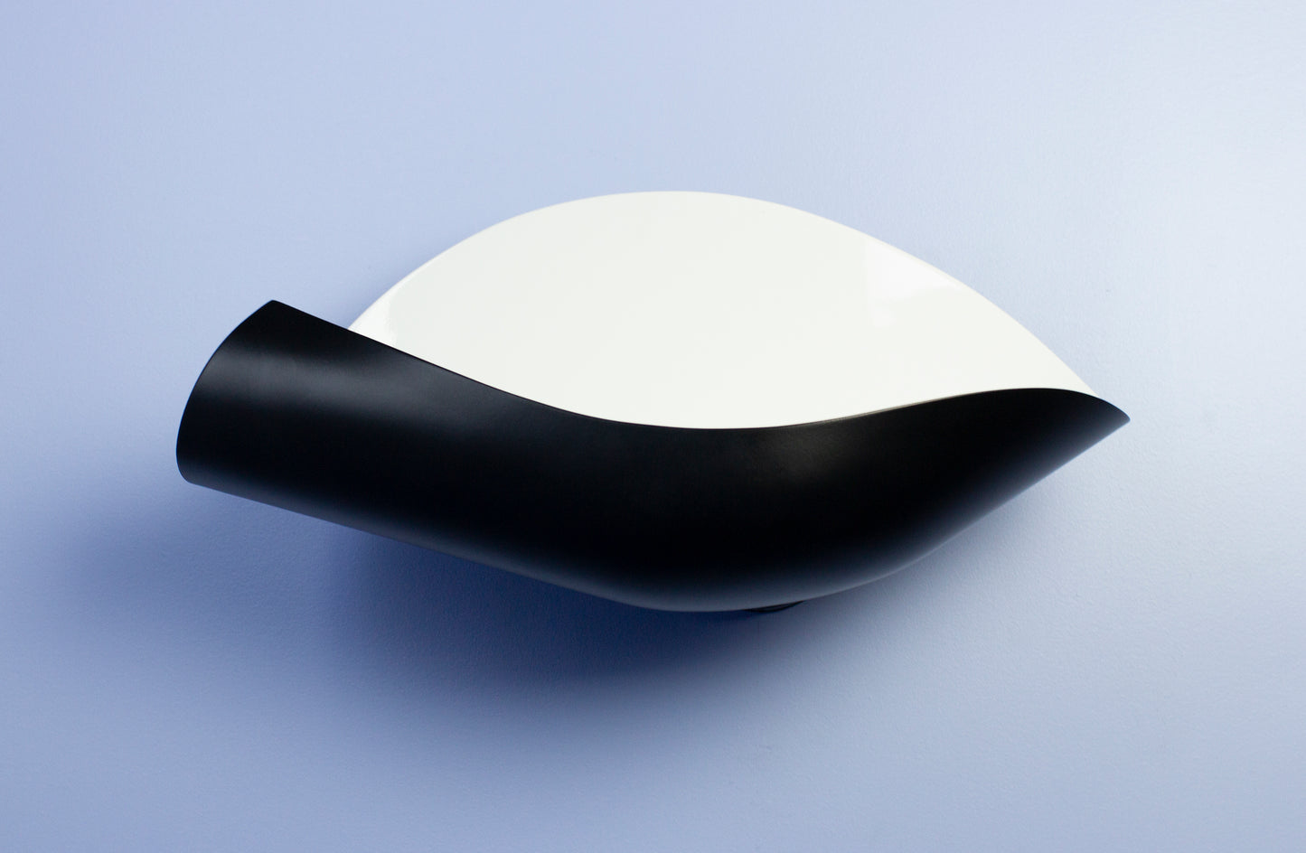 Black Serge Mouille Conche (Shell) Sconce on a blue wall