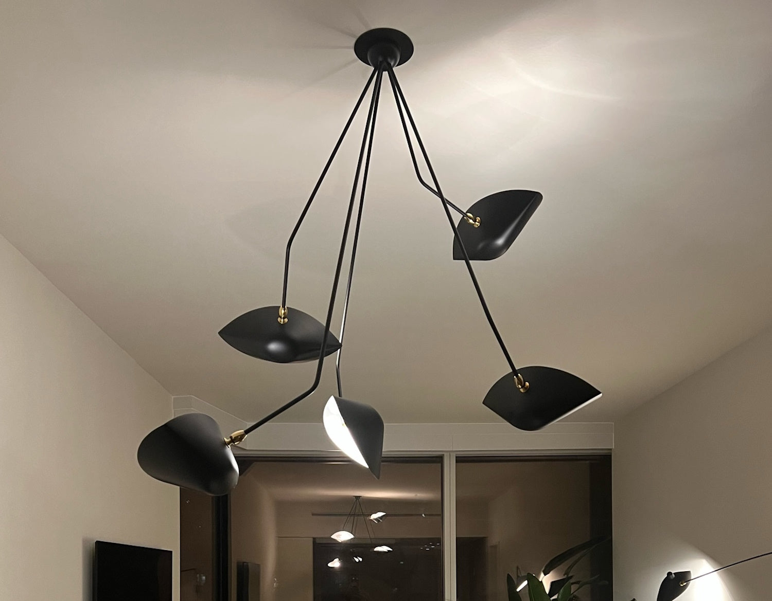 Black Serge Mouille Spider Ceiling Lamp with 5 Falling Arms installed in a room