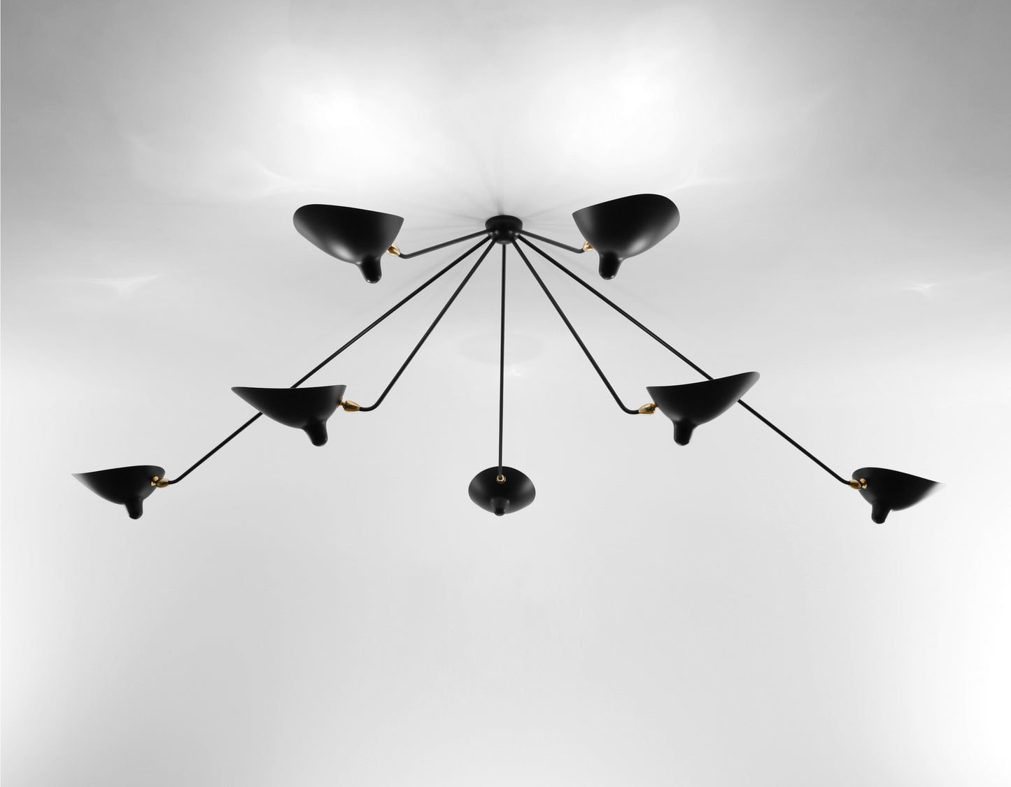 Black Serge Mouille Spider Ceiling Lamp with 7 Arms - SergeMouilleUSA