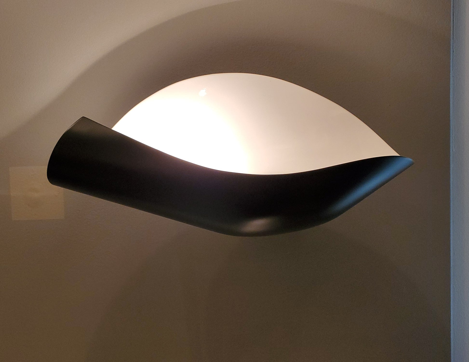 Black Serge Mouille Conche (Shell) Sconce on a brown wall