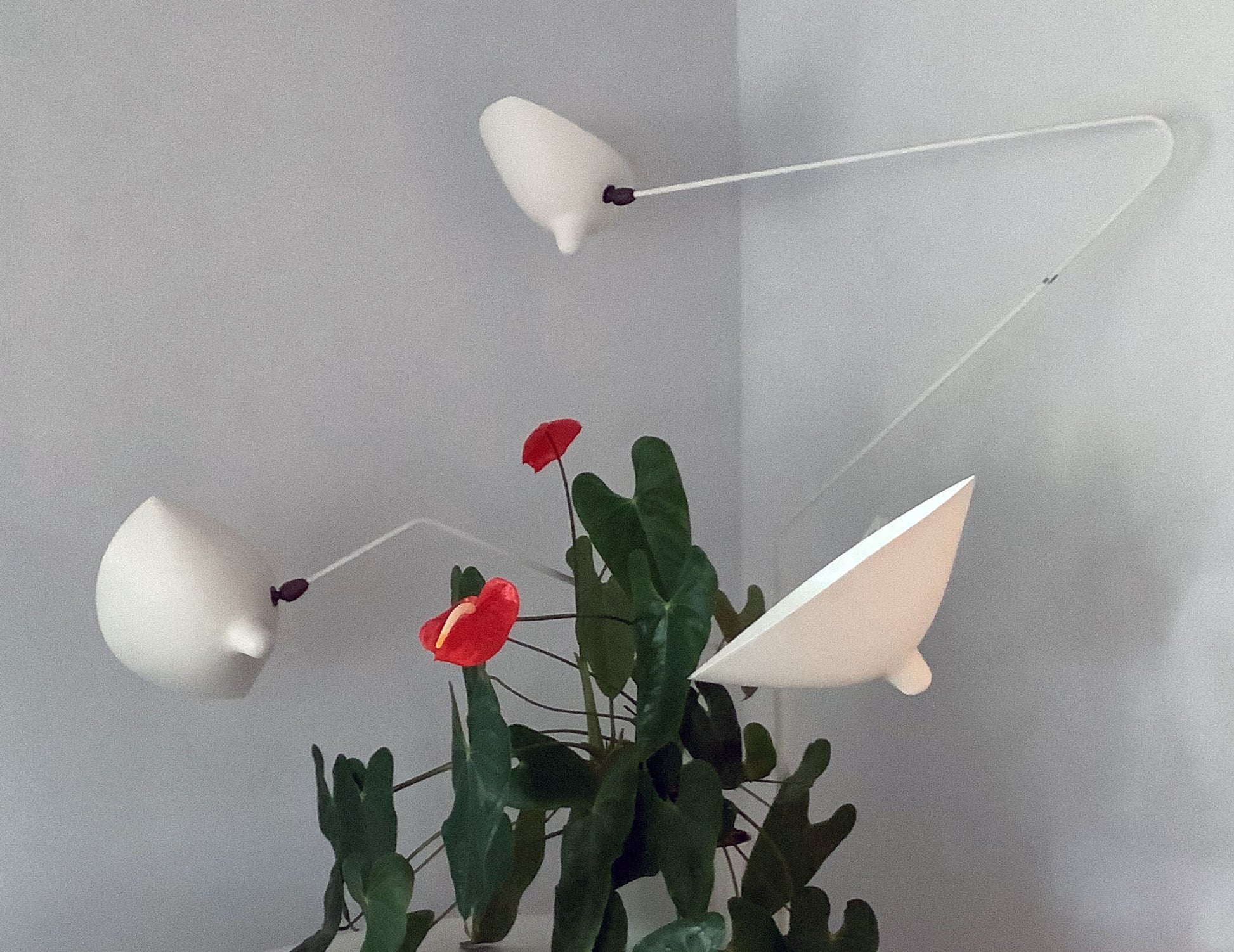 White Serge Mouille Floor Lamp with 3 Arms shown with plant